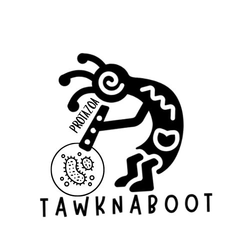 TawkNaBoot Protazoa